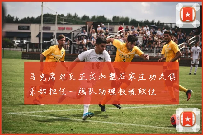 马克席尔瓦正式加盟石家庄功夫俱乐部担任一线队助理教练职位