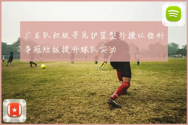 广东队积极寻觅护筐型外援以弥补争冠短板提升球队实力